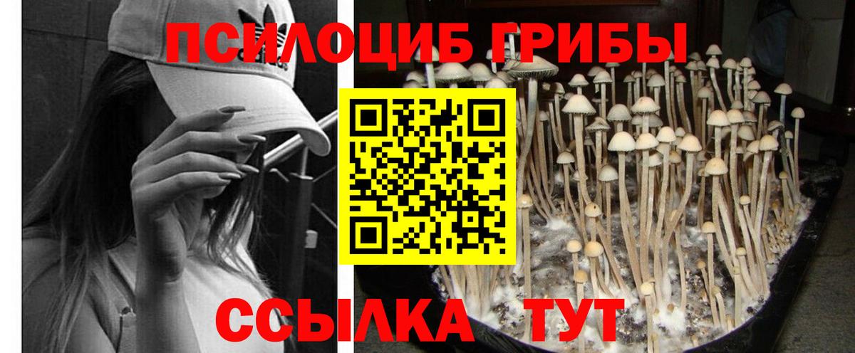 Галлюциногенные грибы мицелий Снежинск